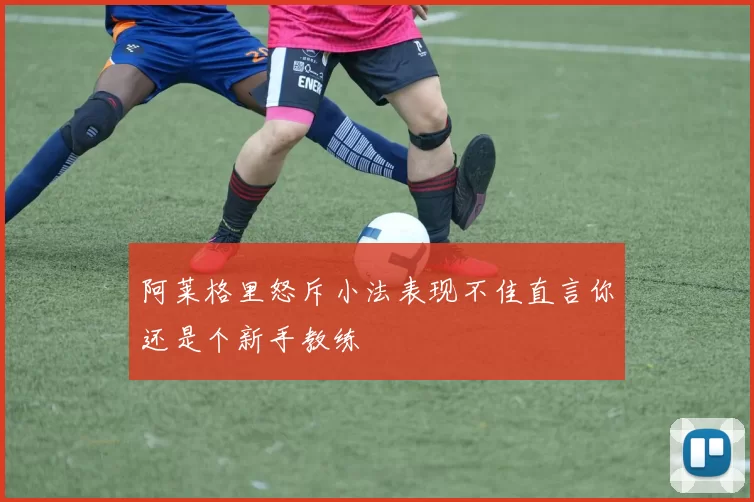 阿莱格里怒斥小法表现不佳直言你还是个新手教练